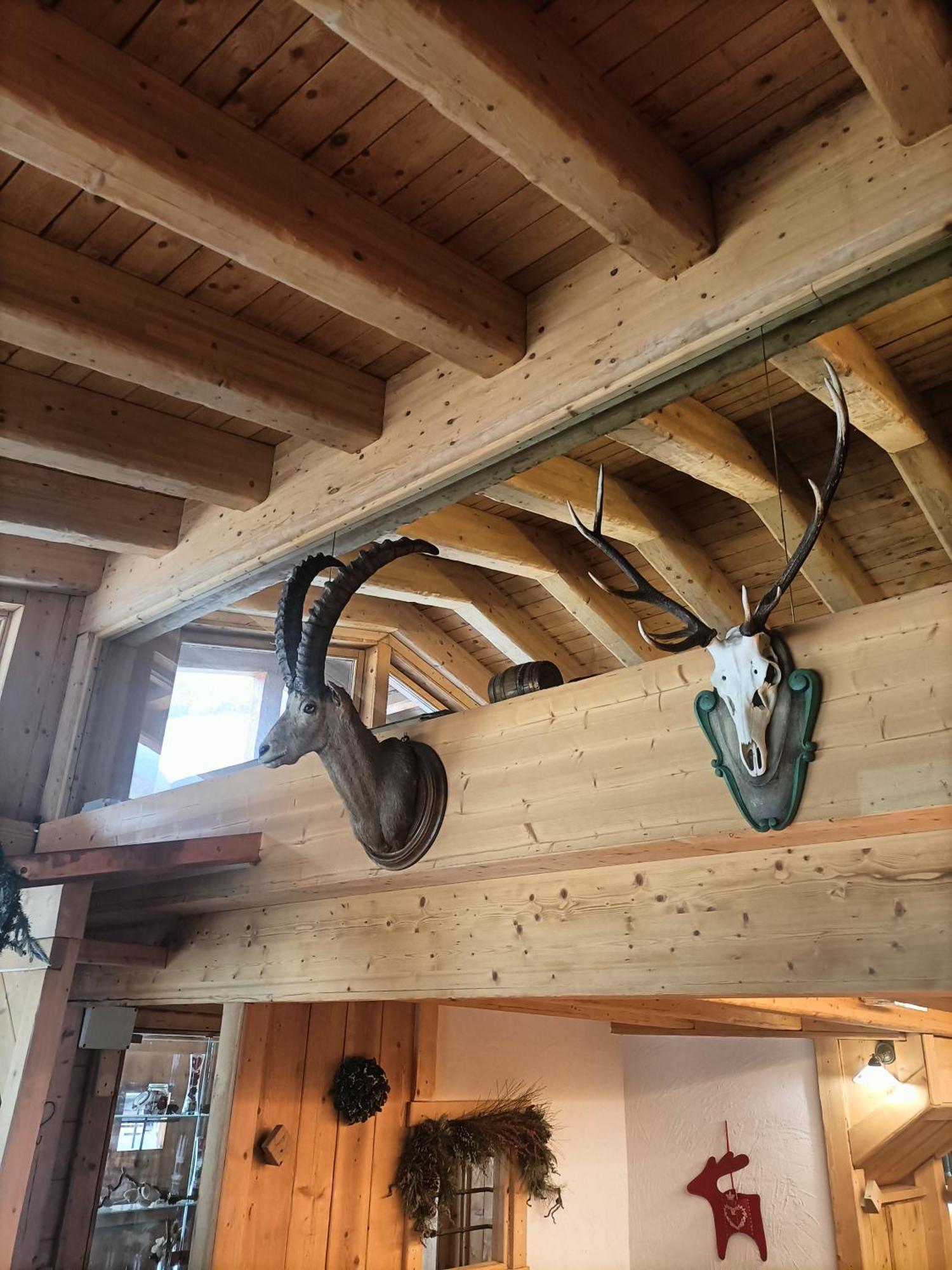 Chalet 1400 Nuova Gestione Limone Piemonte Esterno foto